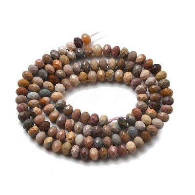 Natural Alashan Agate Beads Strands G-C127-B01-01-1