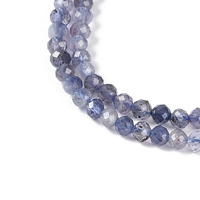 Natural Iolite Beads Strands LS-G-N342-32-1