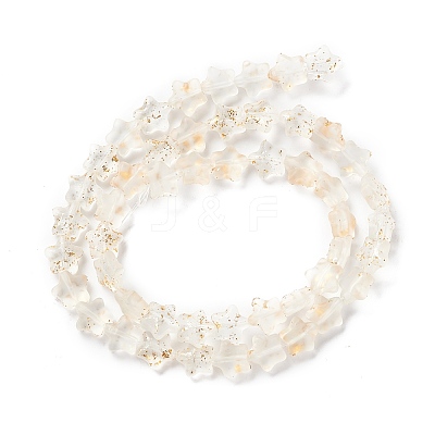 Transparent Glass Beads Strand GLAA-F112-04K-1