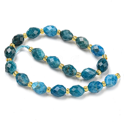 Natural Apatite Beads Strands G-N342-48-1