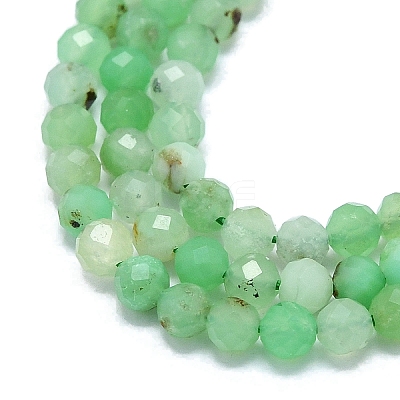 Natural Chrysoprase Beads Strands G-G106-C01-02-1
