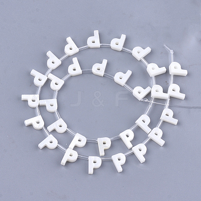 Natural Freshwater Shell Beads SHEL-T012-59P-1