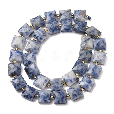 Natural Blue Spot Jasper Beads Strands G-F839-A15-01-1
