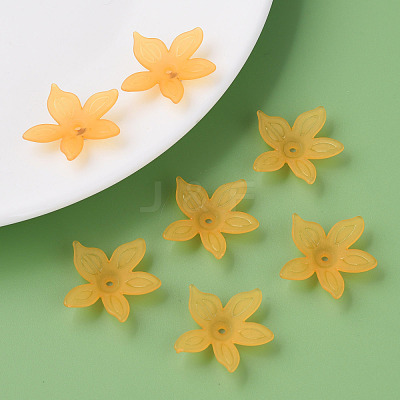 Transparent Acrylic Beads MACR-S373-127-D05-1