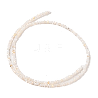 Natural Freshwater Shell Beads Strands SHEL-P017-01A-02-1