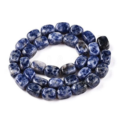 Natural Blue Spot Jasper Beads Strands G-T138-101-1