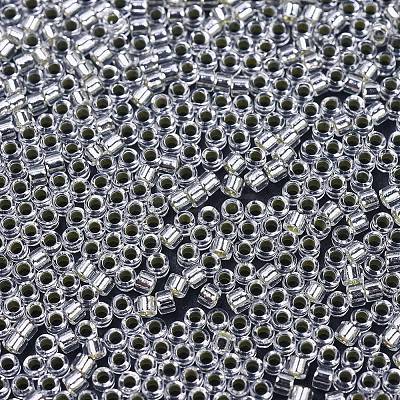 MIYUKI Delica Beads SEED-MY11-DB0041-1