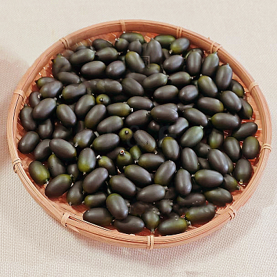 Foam Simulation Olive Model FIND-GF0009-22-1