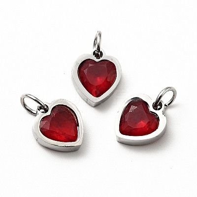 304 Stainless Steel Pendants STAS-D189-06P-12-1