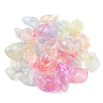 Transparent Acrylic Pendants MACR-D024-14-1