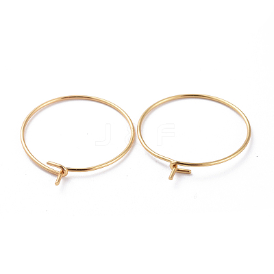 316 Surgical Stainless Steel Hoop Earring Findings LS-X-STAS-J025-01B-G-1
