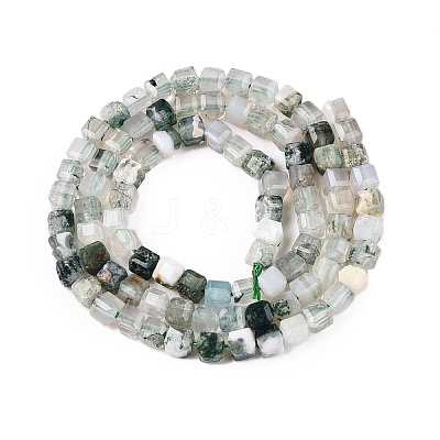 Natural Moss Agate Beads Strands G-T138-211K-1
