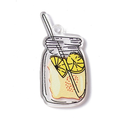 Transparent Printed Acrylic Pendants LS-TACR-G042-01D-1