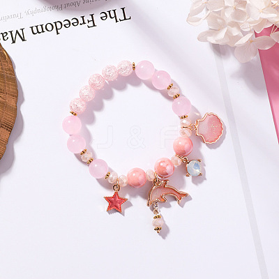 2Pcs 2 Styles Plastic & Glass Beaded Stretch Bracelets FS-WGE3E77-01-1