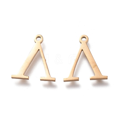 304 Stainless Steel Charms STAS-L263-10G-1