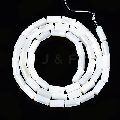 Natural Trochid Shell/Trochus Shell Beads Strands SSHEL-S266-020A-02-1