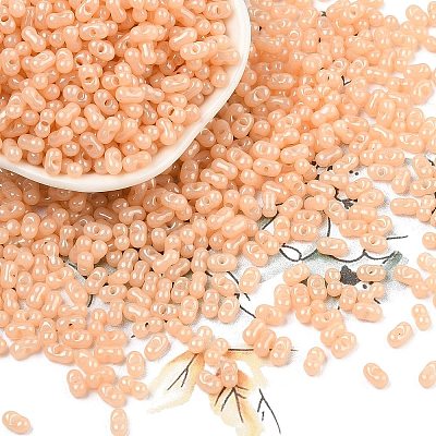 Baking Paint Glass Seed Beads SEED-L011-09A-12-1