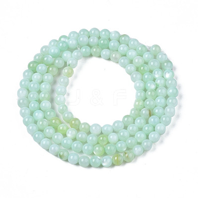 Natural Freshwater Shell Beads Strands X-BSHE-T009A-01D-1