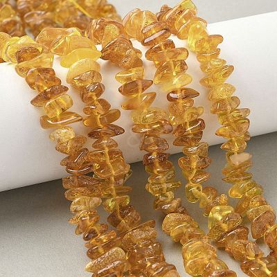 Natural Amber Beads Strands G-L095-D01-02-1