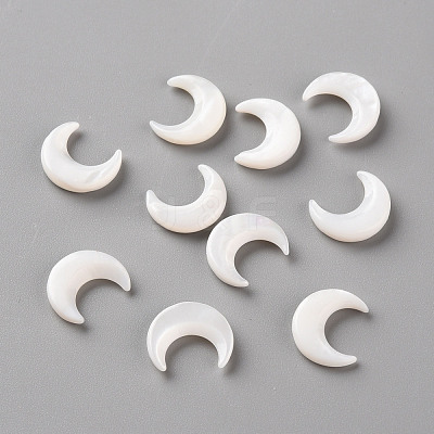 Natural White Shell Beads SSHEL-Q311-004A-02-1