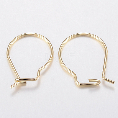 304 Stainless Steel Hoop Earrings Findings STAS-H436-02-1