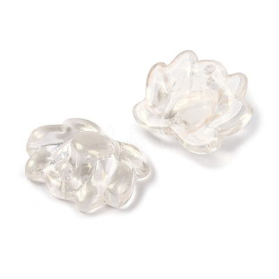 Baking Paint Glass Beads GLAA-S202-13F-1