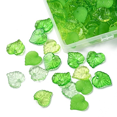 100G 5 Styles Transparent Acrylic Pendants TACR-YW0002-14-1