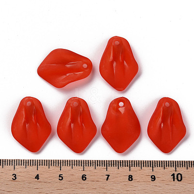 Transparent Frosted Acrylic Pendants MACR-S371-03A-712-1