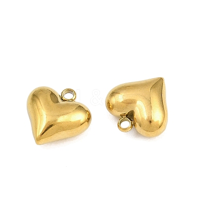 304 Stainless Steel Charms STAS-Z166-10G-1