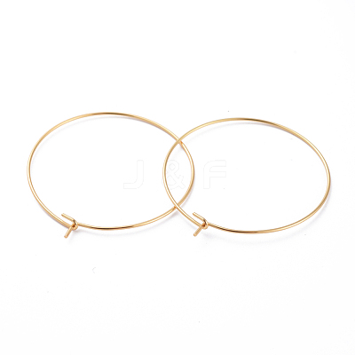 316 Surgical Stainless Steel Hoop Earring Findings X-STAS-J025-01E-G-1