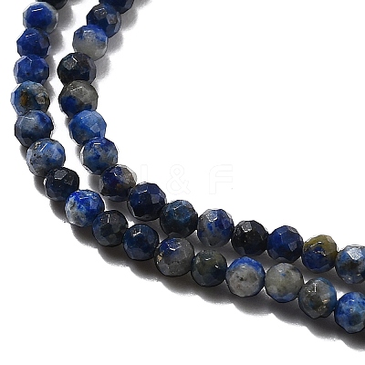 Natural Lapis Lazuli Beads Strands LS-G-F509-14-2mm-1