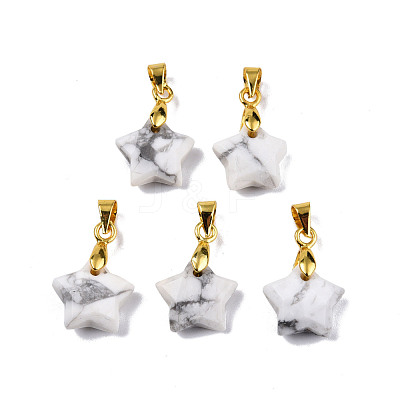 Natural Howlite Charms G-N326-142-10-1