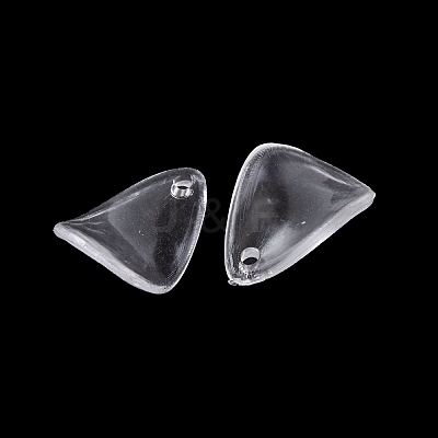 Transparent Acrylic Pendants TACR-G050-01D-1