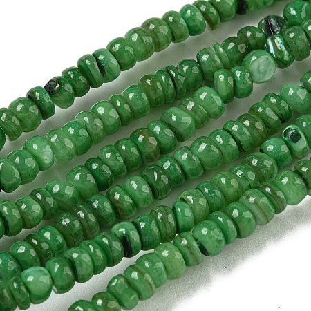 Dyed Natural Freshwater Shell Beads Strands BSHE-G039-07H-1