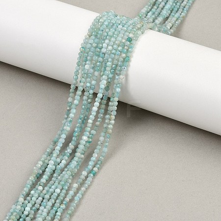 Natural Amazonite Bead Strands G-P279-42-2mm-01-1