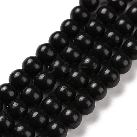 Natural Shungite Beads Strands G-D481-15A-1