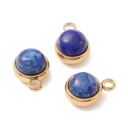 Natural Lapis Lazuli Charms G-K325-01G-02-1