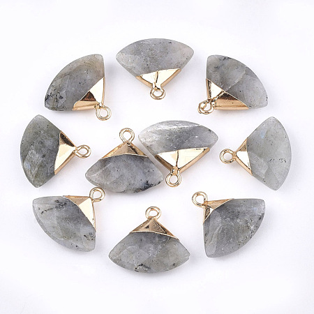 Electroplate Natural Labradorite Pendants X-G-T112-04A-1