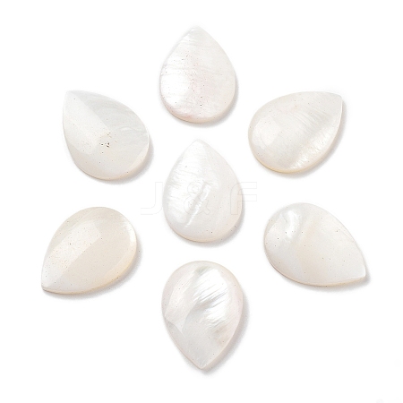 Natural Freshwater Shell Beads SHEL-D082-01A-1