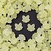 Frosted Transparent Acrylic Beads OACR-P029-18B-03-1