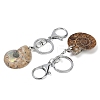 Alloy Natural Snail Fossil Keychains KEYC-Q001-01A-2