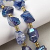 Electroplated Raw Rough Natural Amethyst Beads Strands G-Z131-J02-09-1