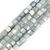 Natural Trochid Shell/Trochus Shell Bead Strands SSHEL-N034-77-C01-2
