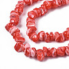 Natural Freshwater Shell Beads Strands SHEL-N003-23-B04-3