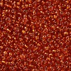 8/0 Glass Seed Beads X1-SEED-A005-3mm-29B-2