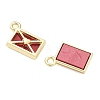 Alloy Acrylic Pendants FIND-D044-23G-02-2