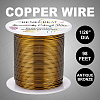 Round Copper Wire CWIR-BC0006-02C-AB-5