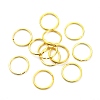 Iron Split Key Rings IFIN-Q067-G-2