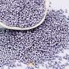 Baking Paint Glass Seed Beads X-SEED-S042-15B-30-1