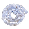 Nautral Blue Lace Agate Beads Strands G-H330-A01-3